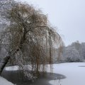 150124_14
