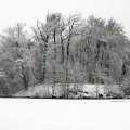 150124_15