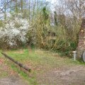 Frühling an der Alten Mühle