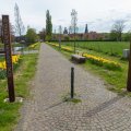 Narzissenallee